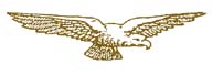 eagle image - RAF